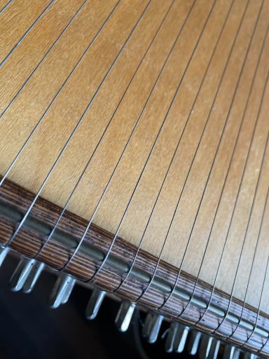 Monochord